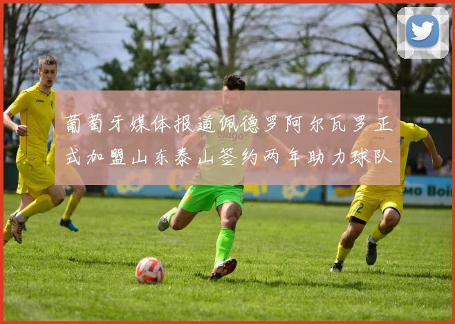 葡萄牙媒体报道佩德罗阿尔瓦罗正式加盟山东泰山签约两年助力球队发展