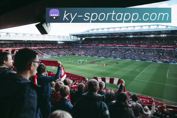 开云足球平台生态图