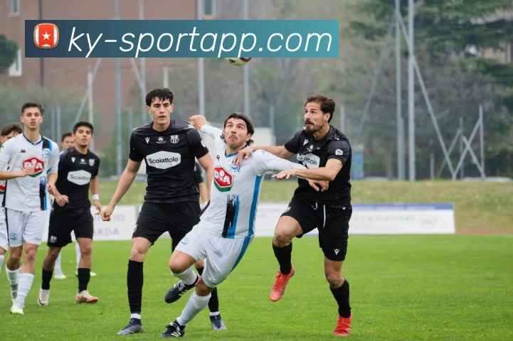 开云足球全站App