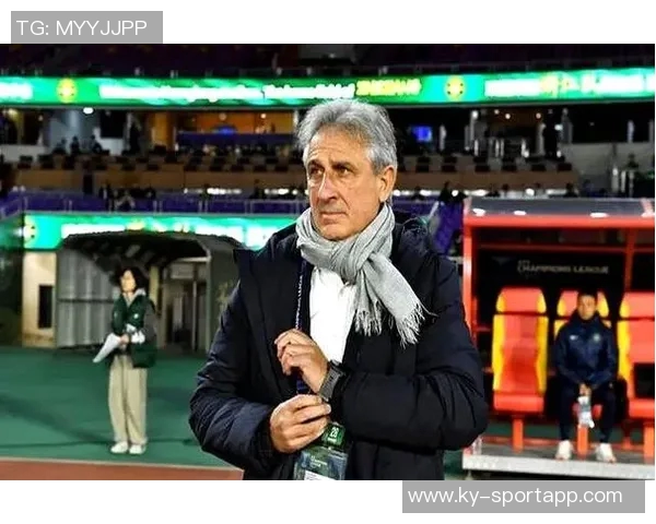 法比奥咨询归化国足事宜遗憾失去机会引发关注