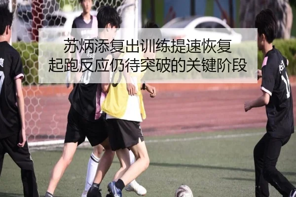 苏炳添复出训练提速恢复 起跑反应仍待突破的关键阶段 | kaiyun